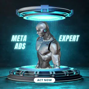 Meta Ads Expert in India